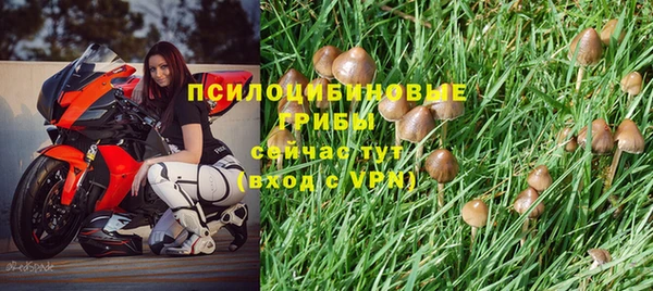 спиды Кинешма