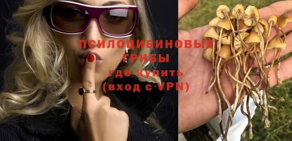 шишки Киреевск