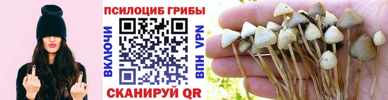 ОМГ ОМГ ссылка  Людиново  Галлюциногенные грибы GOLDEN TEACHER  закладка 